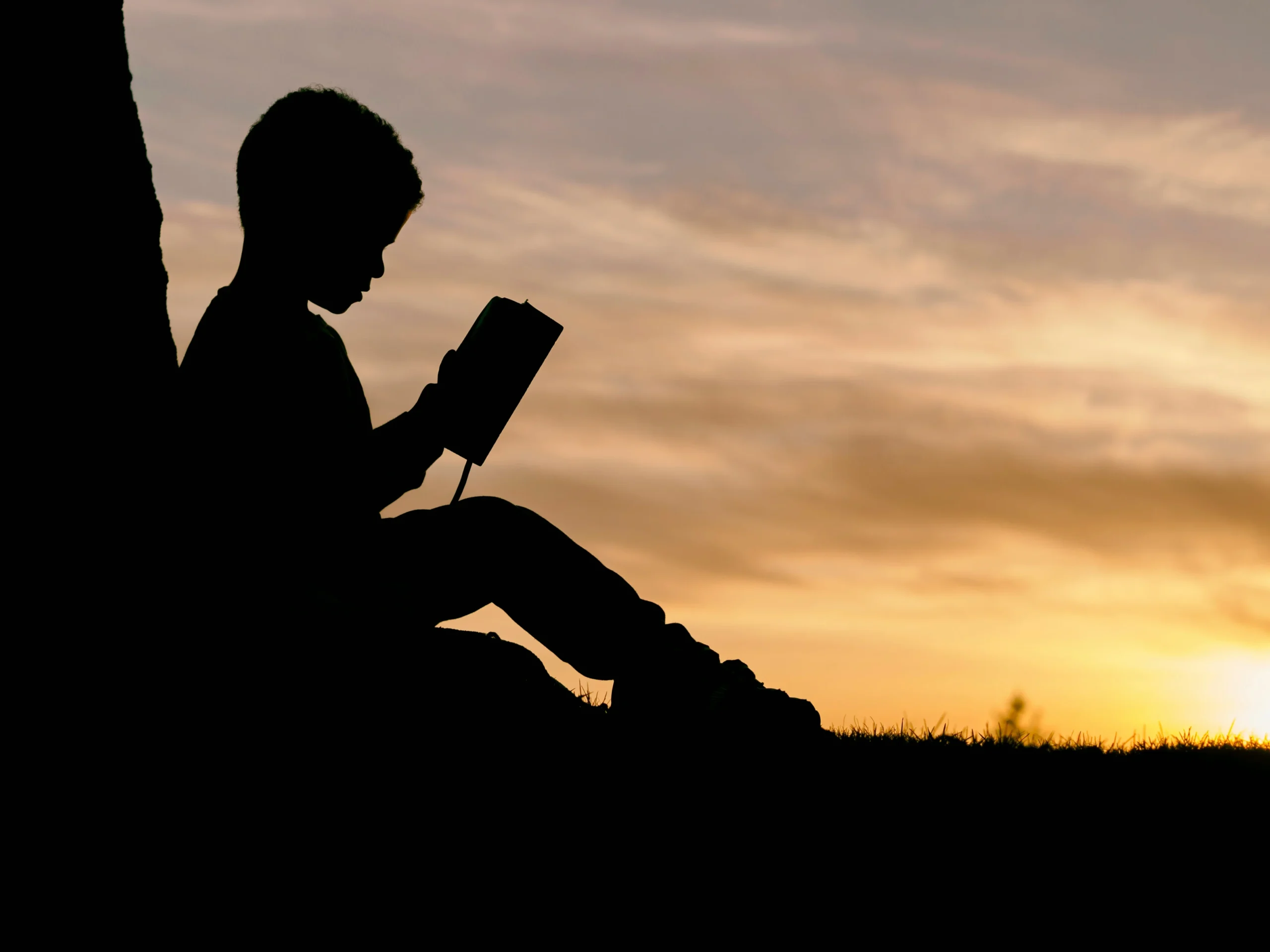 la-mediacion-de-lectura