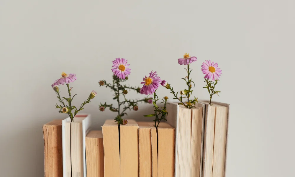 que-es-la-mediacion-pedagogica